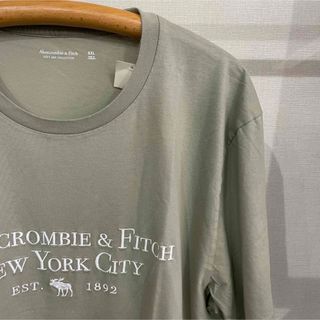 アバクロンビーアンドフィッチ(Abercrombie&Fitch)の大きなサイズ新品★アバクロメンズ刺繍ロゴＴシャツ★ライトグリーン系★サイズXXL(Tシャツ/カットソー(半袖/袖なし))