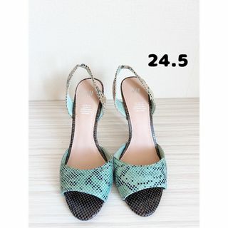 エイチアンドエム(H&M)の【未使用】サンダル パイソン H&M グリーン ベージュ(サンダル)