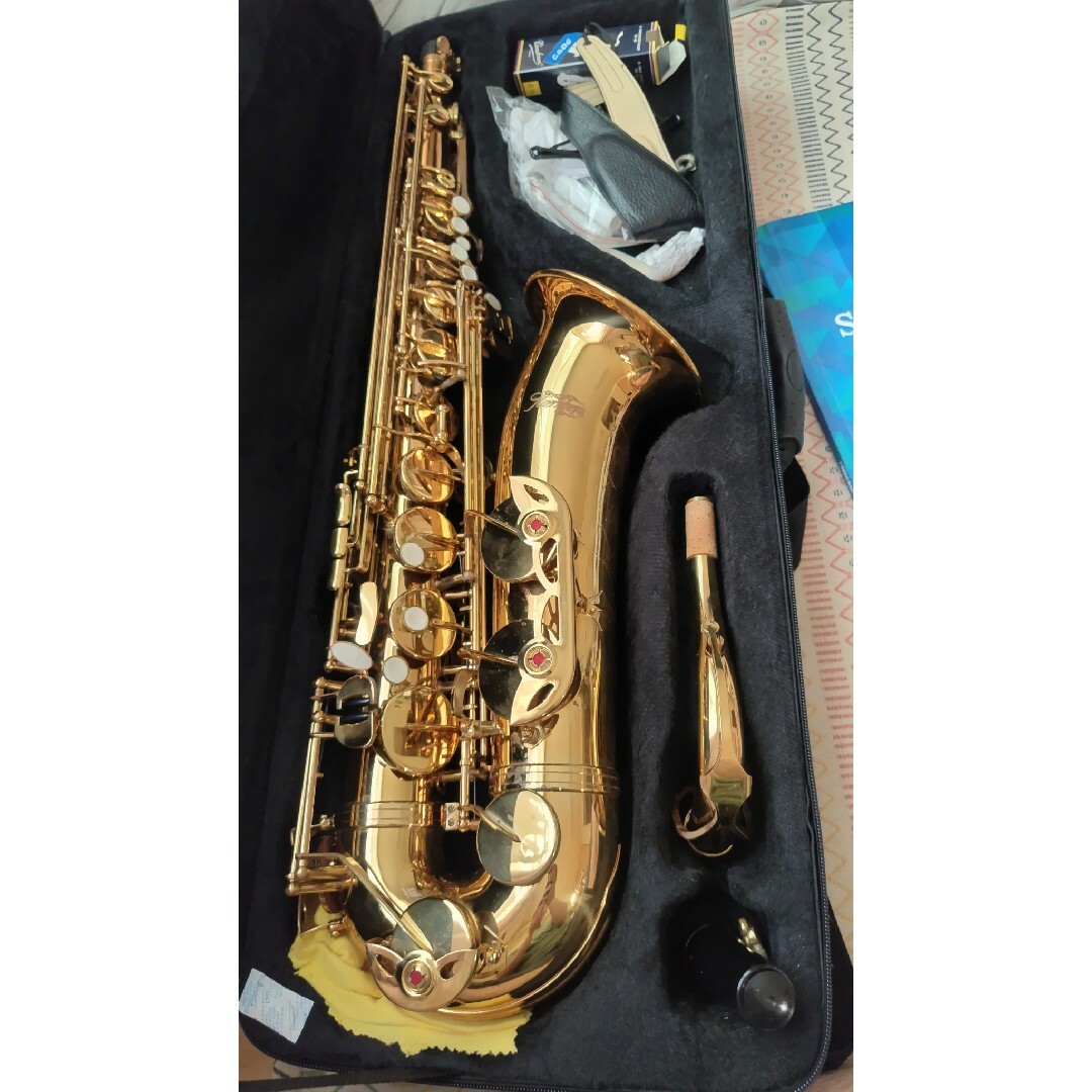 中古品】Kaerntner ( ケルントナー ) KTN-65 テナーサックス 中古品】Kaerntner ( ケルントナー ) KTN-65 テナーサックス