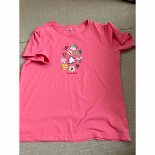 モンベルTシャツ(Tシャツ(半袖/袖なし))