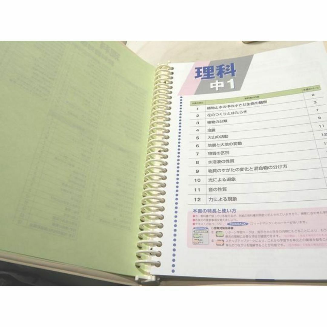 スペシャルオファ PASTEM パステム 英語 数学 国語 ◇ 中学生 指導書 5冊 5教科 中学校
