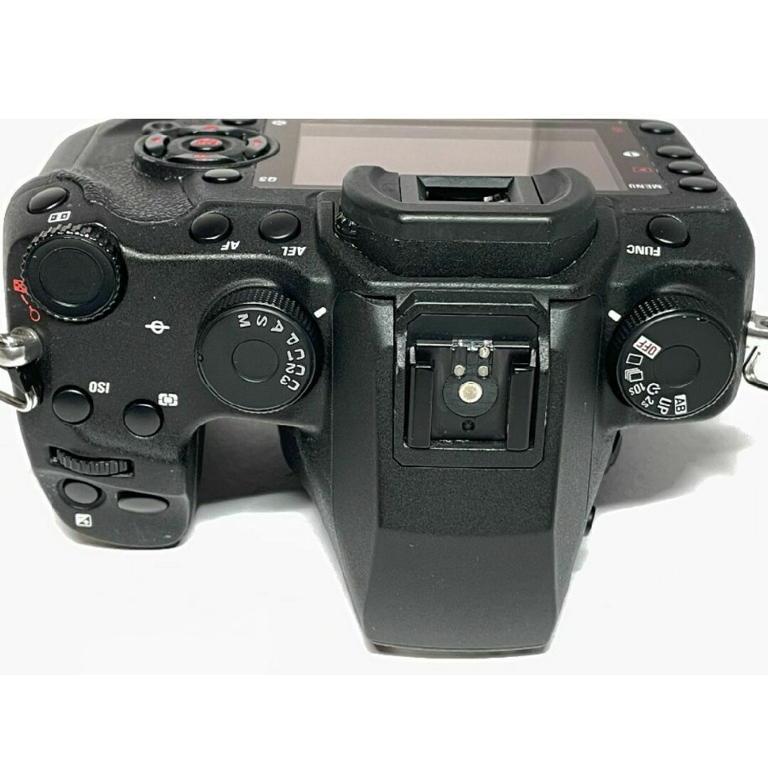 tsuku様専用 通電不可 SIGMA SD1 Merrillボディ ジャンク tsuku様専用 通電不可 SIGMA SD1 Merrillボディ ジャンク