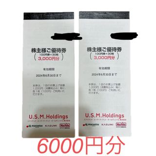 ユナイテッドスーパーマーケット 株主優待券 6000円分(その他)