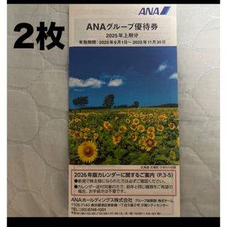 ANAグループ優待券2025年上期分2冊(その他)