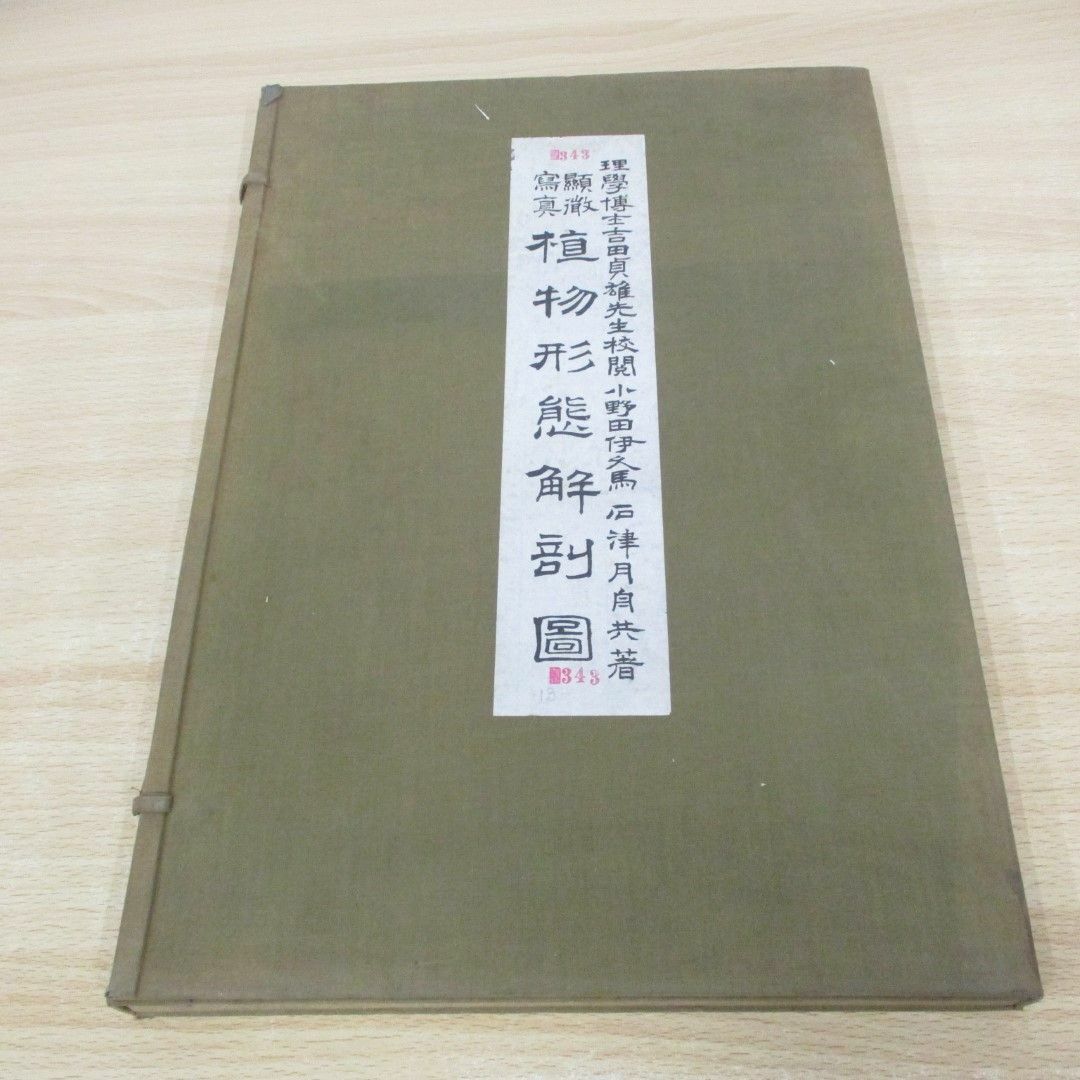 【本日特価】 △01)【同梱】顕微写真植物形態解剖図/小野田伊久馬/石津大雅堂/ 生物学