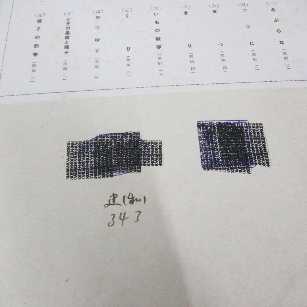 ファッション 通販 △01)【同梱】顕微写真植物形態解剖図/小野田伊久馬/石津大雅堂/ 生物学