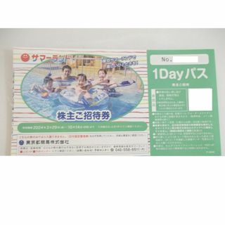 東京都競馬 株主優待　東京サマーランド 1Dayパス (その他)