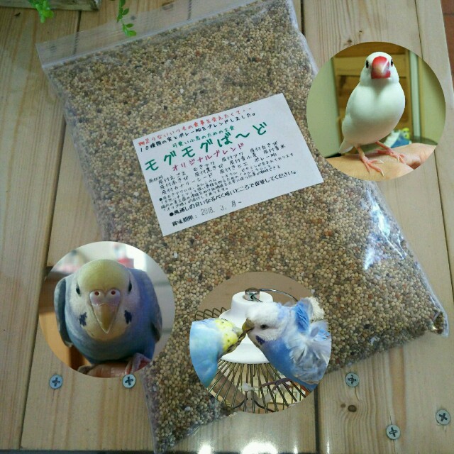 モグモグばーど 生きた種10穀ブレンド  鳥の餌   その他のペット用品(鳥)の商品写真