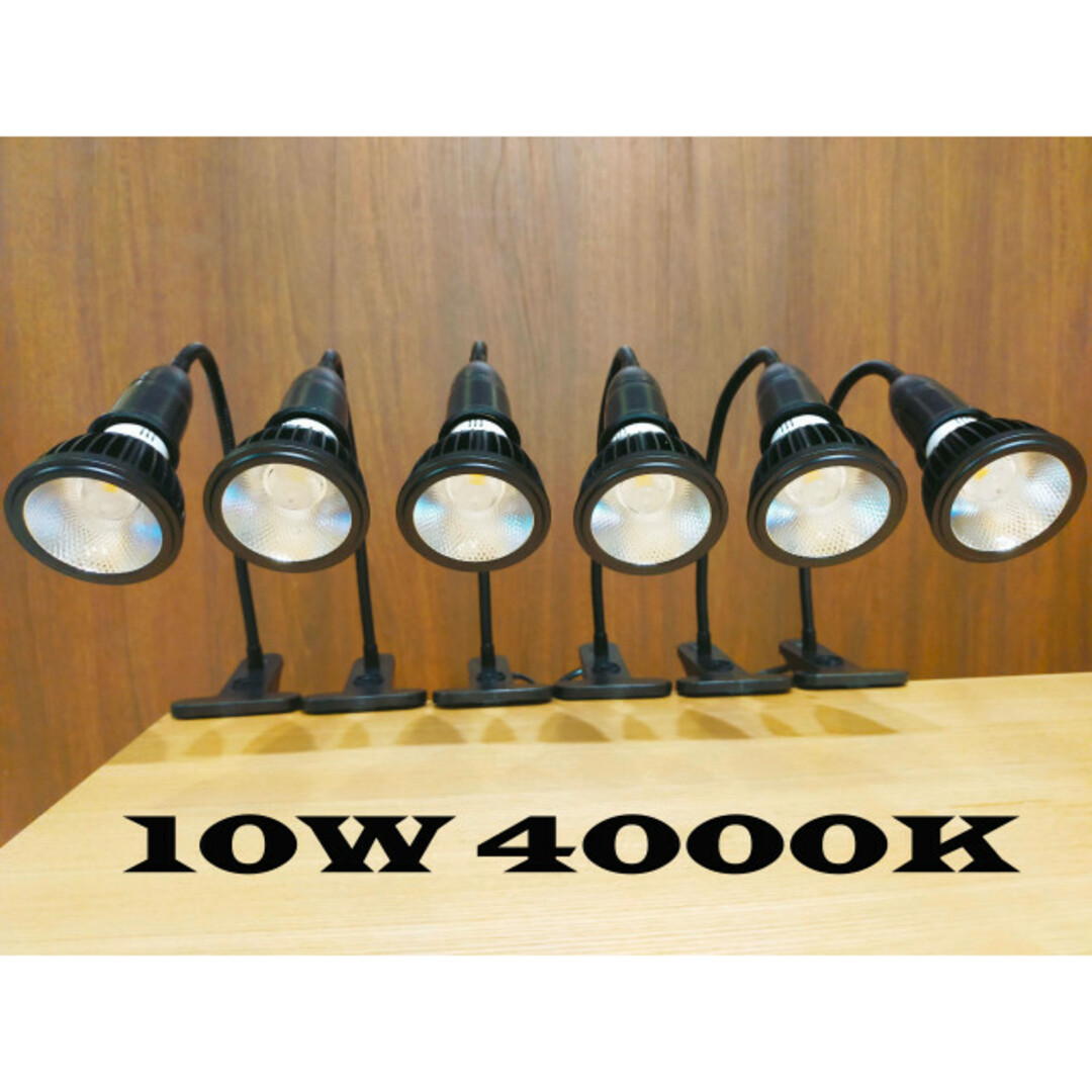 植物育成ライト 10W 5800K 5個 白色 太陽光 フルスペクトルLED 植物育成ライト 10W 5800K 5個 白色 太陽光 フルスペクトルLED
