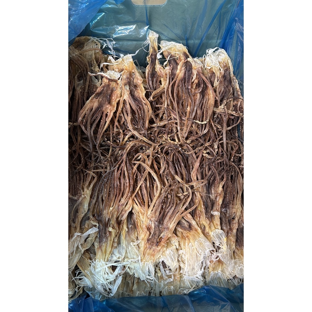 中国真いかするめ【10kg】Sサイズの通販 by M's shop|ラクマ 中国真いかするめ【10kg】Sサイズの通販 by M's shop|ラクマ