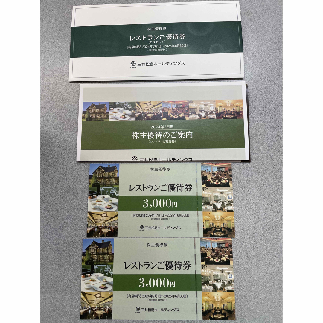 三井松島ホールディングスの株主優待券 奥深し 施設優待割引券 三井松島ホールディングスの株主優待券 奥深し 施設優待割引券