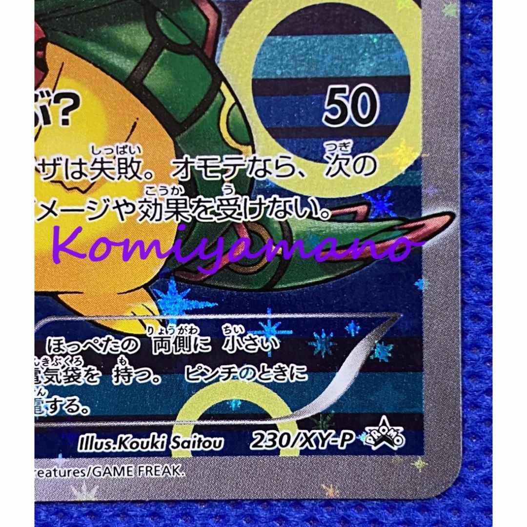 ポケモン - ポンチョを着たピカチュウ レックウザ ポケモン ポケモン - ポンチョを着たピカチュウ レックウザ ポケモン