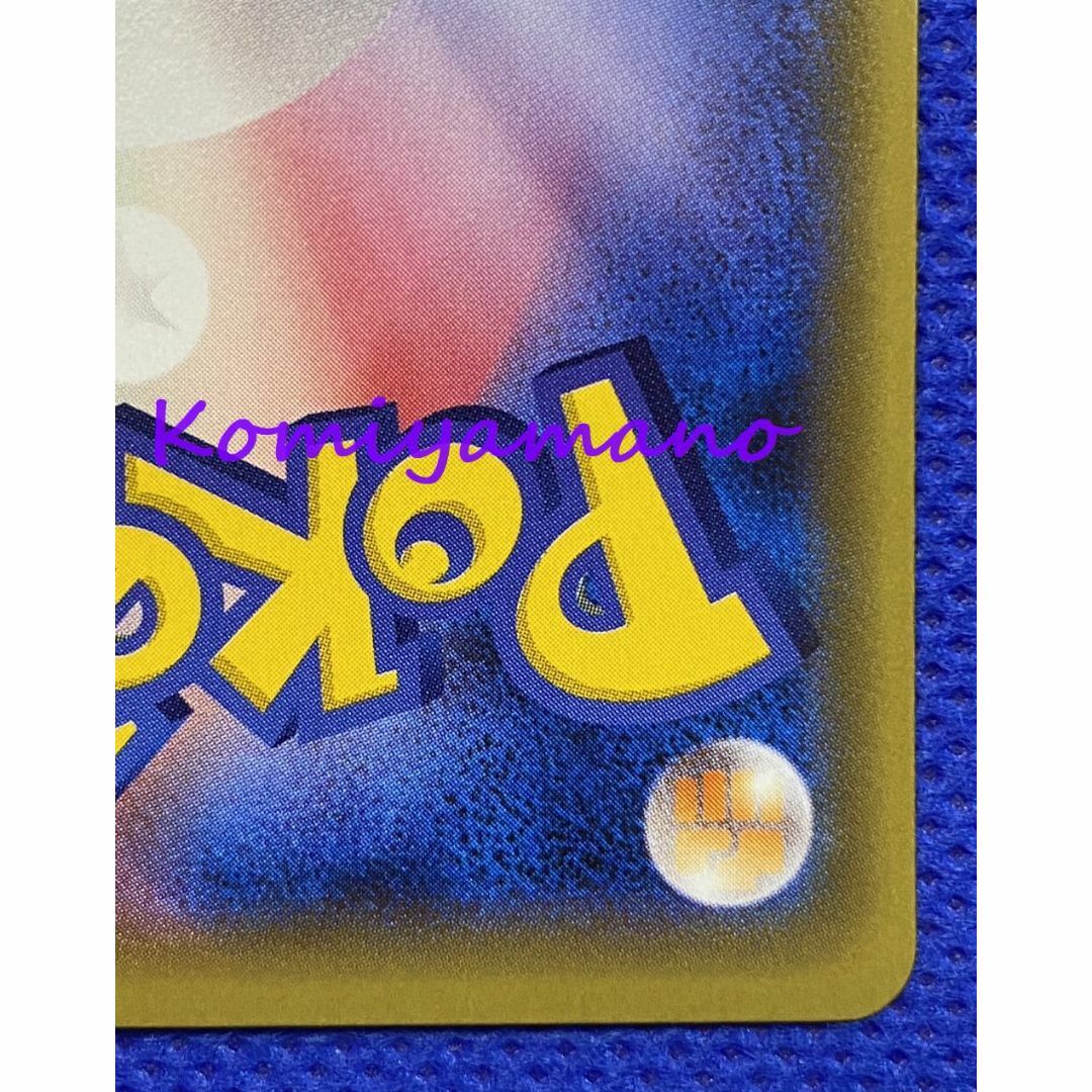 ポケモン - ポンチョを着たピカチュウ レックウザ ポケモン ポケモン - ポンチョを着たピカチュウ レックウザ ポケモン