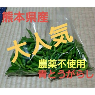 今年もはじめます！熊本県産青唐辛子100g　大人気　おいしい　安心