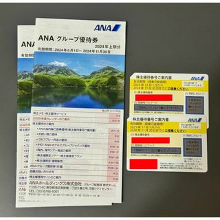 エーエヌエー(ゼンニッポンクウユ)(ANA(全日本空輸))のANA 株主優待券 2枚 2024年11月30日まで　株主割引(その他)