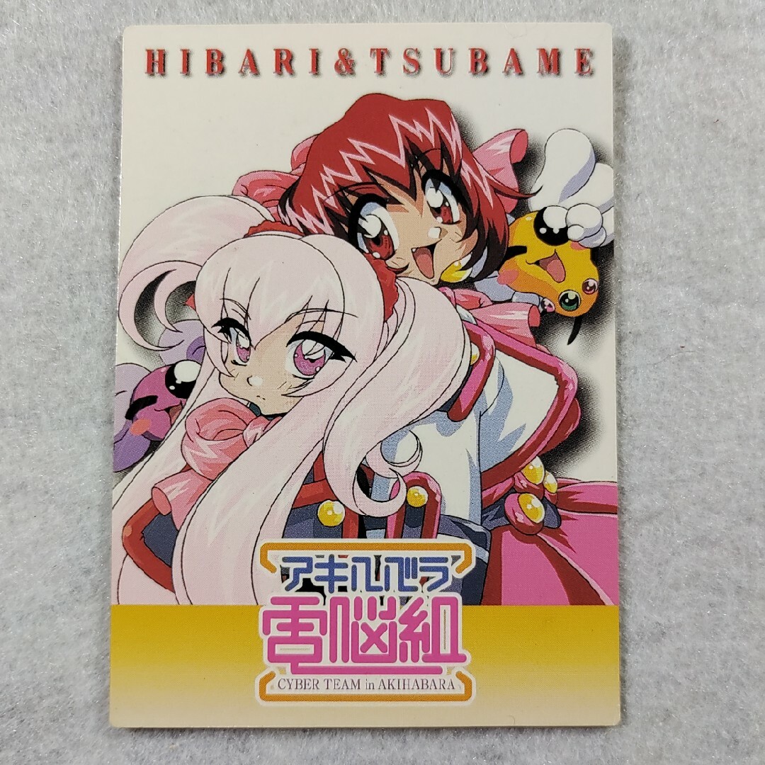アキハバラ電脳組非売品カード(トレーディングコレクション アキハバラ電脳組非売品カード(トレーディングコレクション