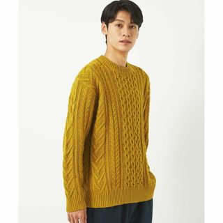 ユナイテッドアローズグリーンレーベルリラクシング(UNITED ARROWS green label relaxing)の【YELLOW】ウール ポリエステル アラン クルーネック ニット -ウォッシャブル-(その他)