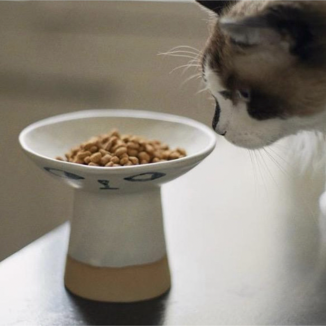 Madoka Rindal マドカリンダル 高台付き器 キャットボウル オブジェ Madoka Rindal マドカリンダル 高台付き器 キャットボウル オブジェ