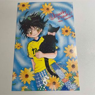 Amazon.co.jp: 大矢ちき: 本