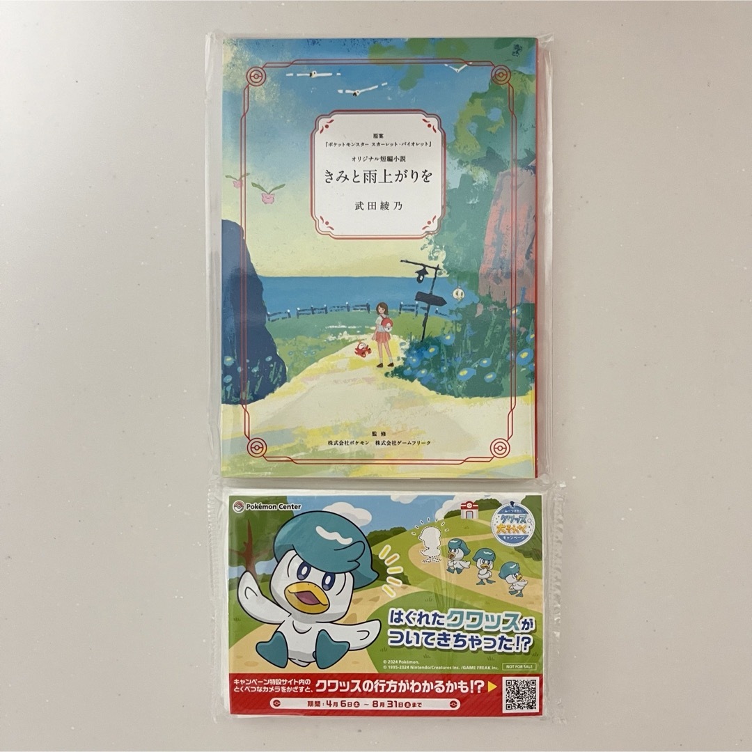 ポケモン(ポケモン)のポケモン きみと雨上がり エンタメ/ホビーのおもちゃ/ぬいぐるみ(キャラクターグッズ)の商品写真