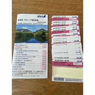 ANA(全日本空輸) - ANA株主優待チケット22枚　グループ優待券