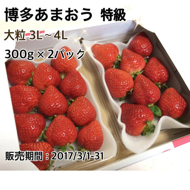 【産地直送】博多あまおう 贈答用 2パック 食品/飲料/酒の食品(フルーツ)の商品写真