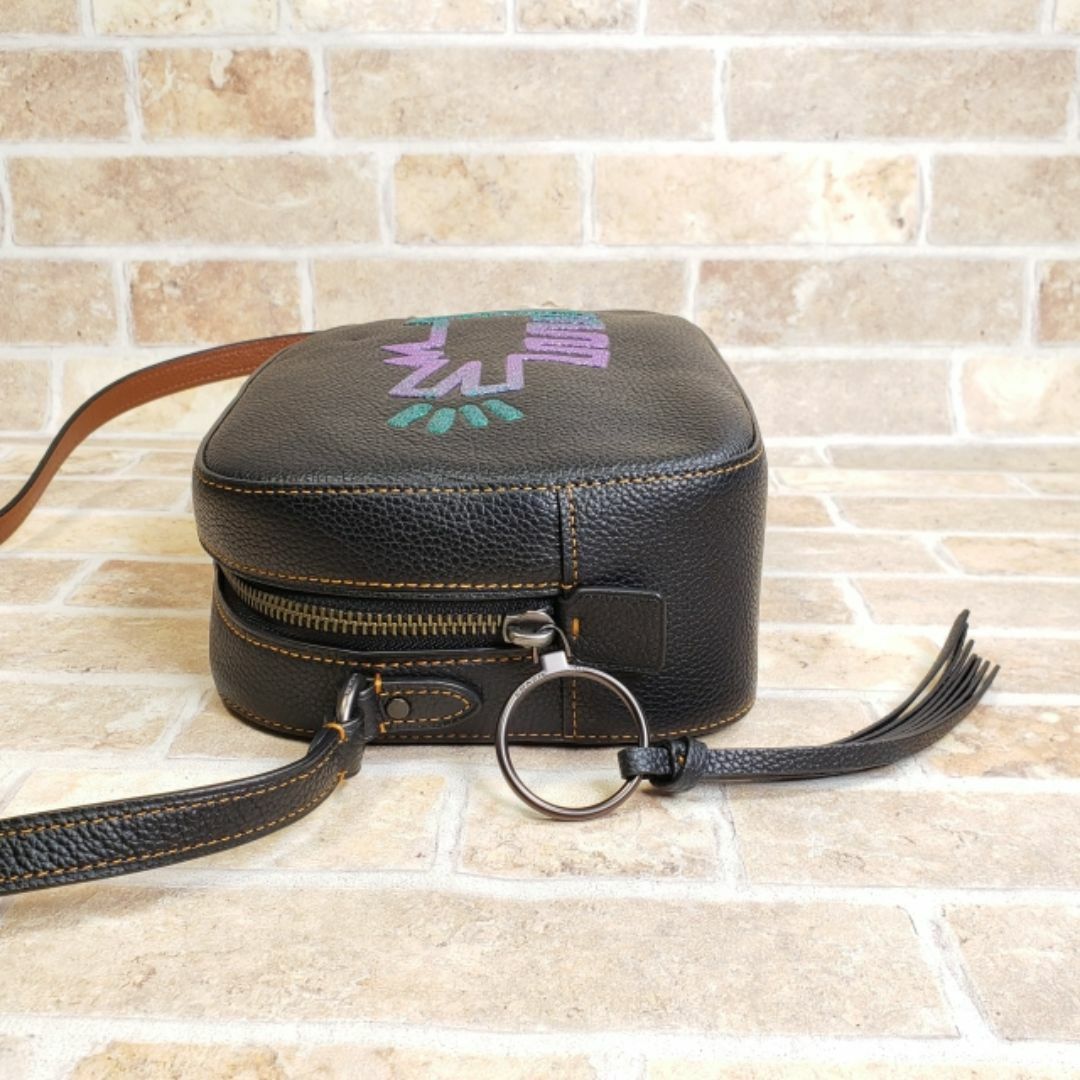 COACH - 美品 コーチ ☆ キースヘリング レザー カメラバッグ COACH - 美品 コーチ ☆ キースヘリング レザー カメラバッグ