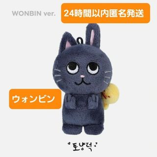 ラスト1点！RIIZE ウォンビン ぬいぐるみ 10センチドール(アイドルグッズ)