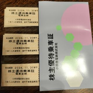 【小田急電鉄】株主優待乗車証 20枚セット(鉄道乗車券)