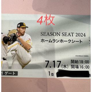 フクオカソフトバンクホークス(福岡ソフトバンクホークス)の7月17日　ソフトバンクホークス　チケット(野球)