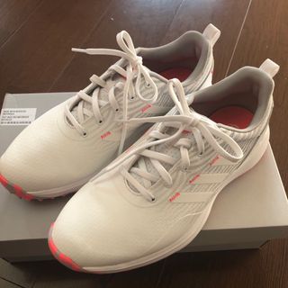 アディダス(adidas)のゴルフシューズ  25センチ(ウエア)