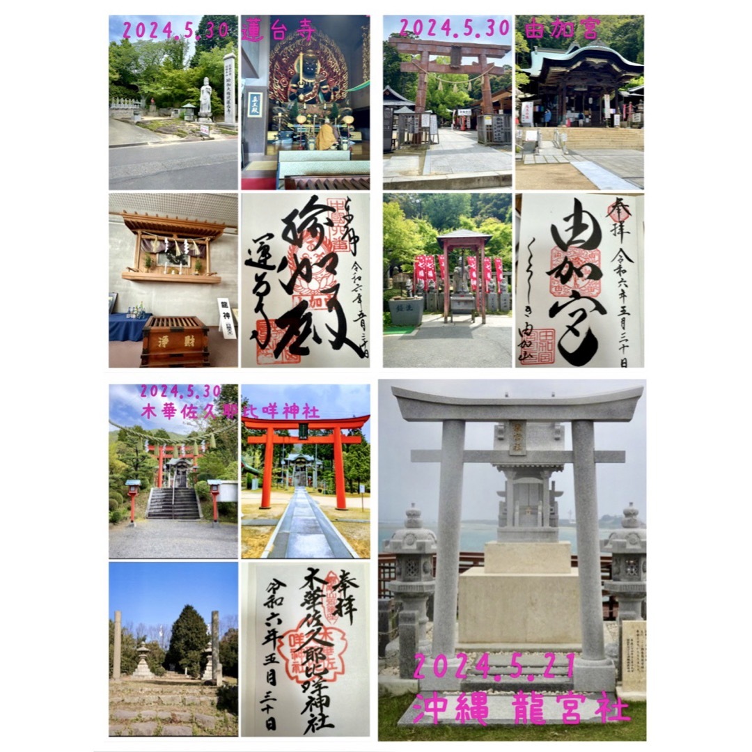 白蛇の抜け殻☆巳年生まれが育てるヘビのお守り☆開運☆金運♢の 白蛇の抜け殻☆巳年生まれが育てるヘビのお守り☆開運☆金運♢の