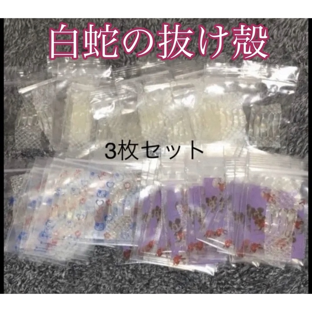 白蛇の抜け殻☆巳年生まれが育てるヘビのお守り☆開運☆金運♢の 白蛇の抜け殻☆巳年生まれが育てるヘビのお守り☆開運☆金運♢の