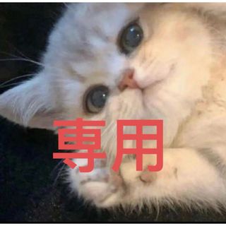 星七様専用(ネックレス)