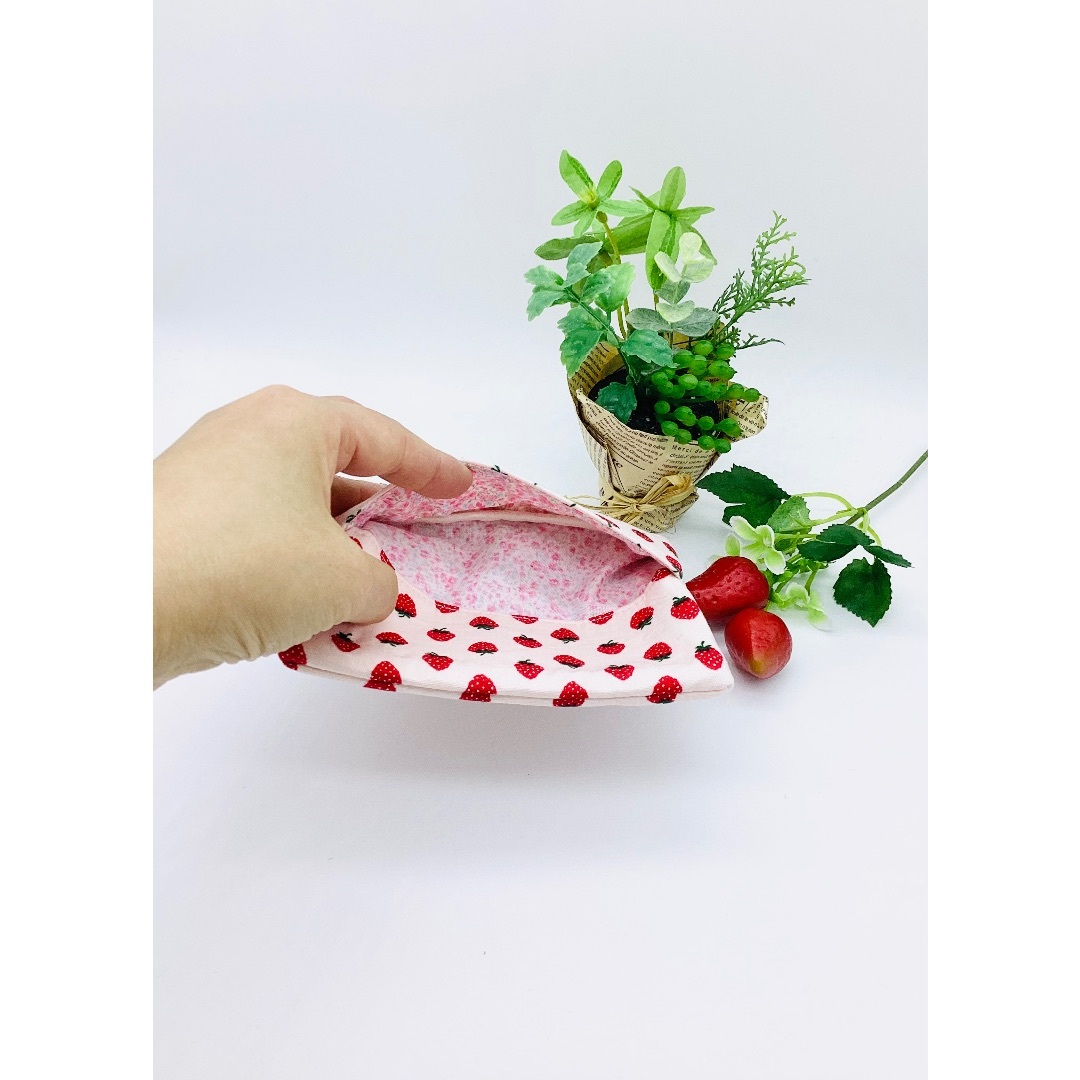 Cocoonist いちご柄 ポーチ ペンケース ティッシュポーチセット 大粒イチゴポーチ(ペンケースサイズ)レッド・ミント | lemonadepool