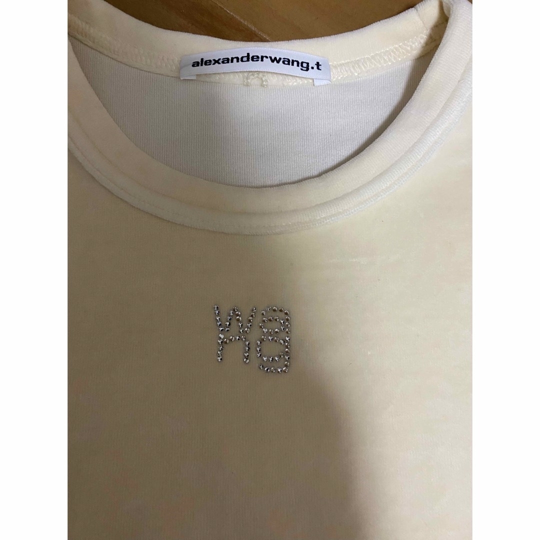 Alexander Wang - アレキサンダーワン ベロアTシャツの通販 by Alexander Wang - アレキサンダーワン ベロアTシャツの通販 by