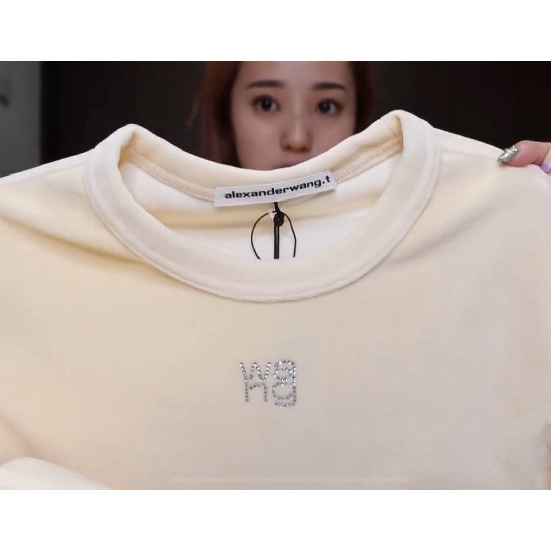 Alexander Wang - アレキサンダーワン ベロアTシャツの通販 by Alexander Wang - アレキサンダーワン ベロアTシャツの通販 by