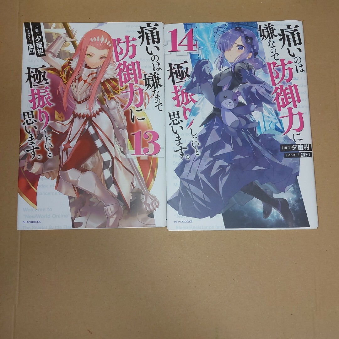痛いのは嫌なので防御力に極振りしたいと思います。 防ふり 美品 痛いのは嫌なので防御力に極振りしたいと思います。 防ふり 美品