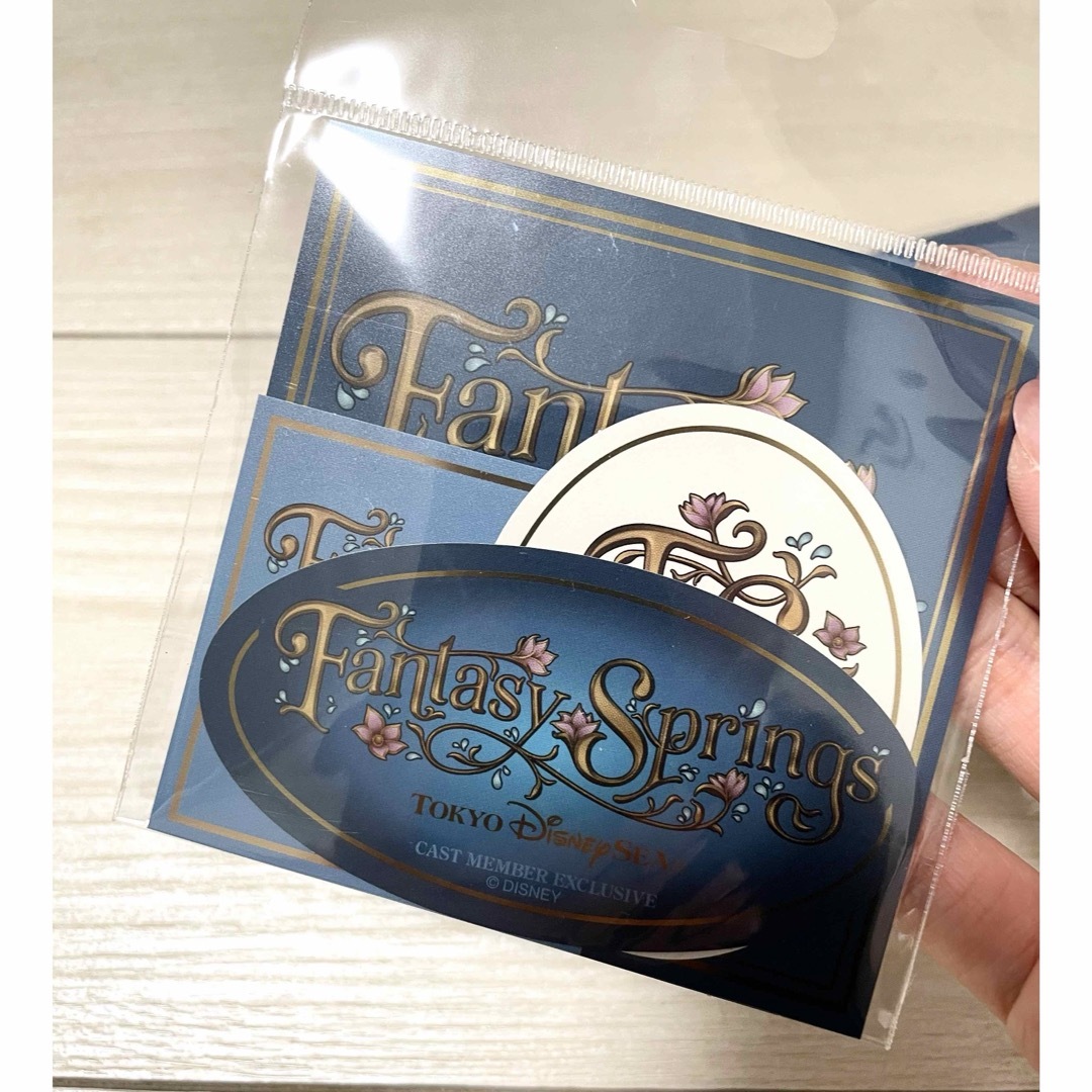 Disney - 【新品】ファンタジースプリングス エコバッグ Disney - 【新品】ファンタジースプリングス エコバッグ