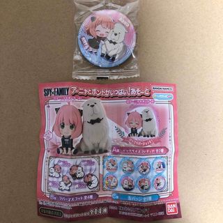 ⑬アーニャ＆ボンド（G）缶バッジ