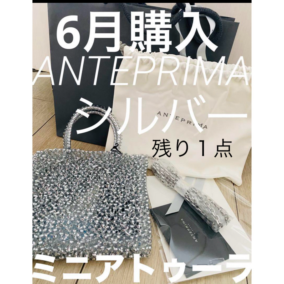 ▪️残り1点▪️2024.6月購入 ミニアトゥーラ シルバー ▪️残り1点▪️2024.6月購入 ミニアトゥーラ シルバー