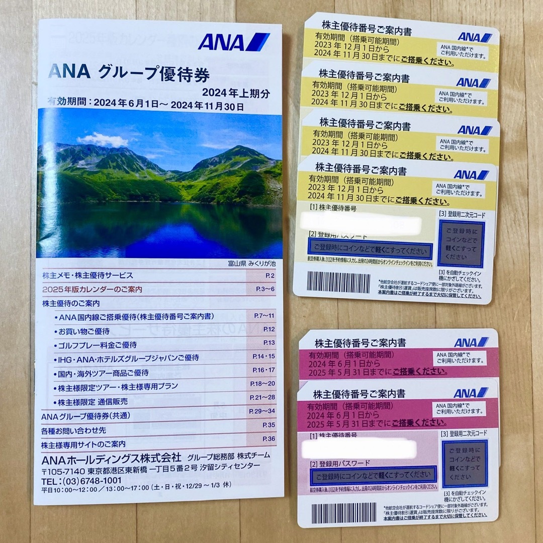 東海汽船 株主優待券 1冊(10枚)+各種割引券 東海汽船 株主優待券 1冊(10枚)+各種割引券