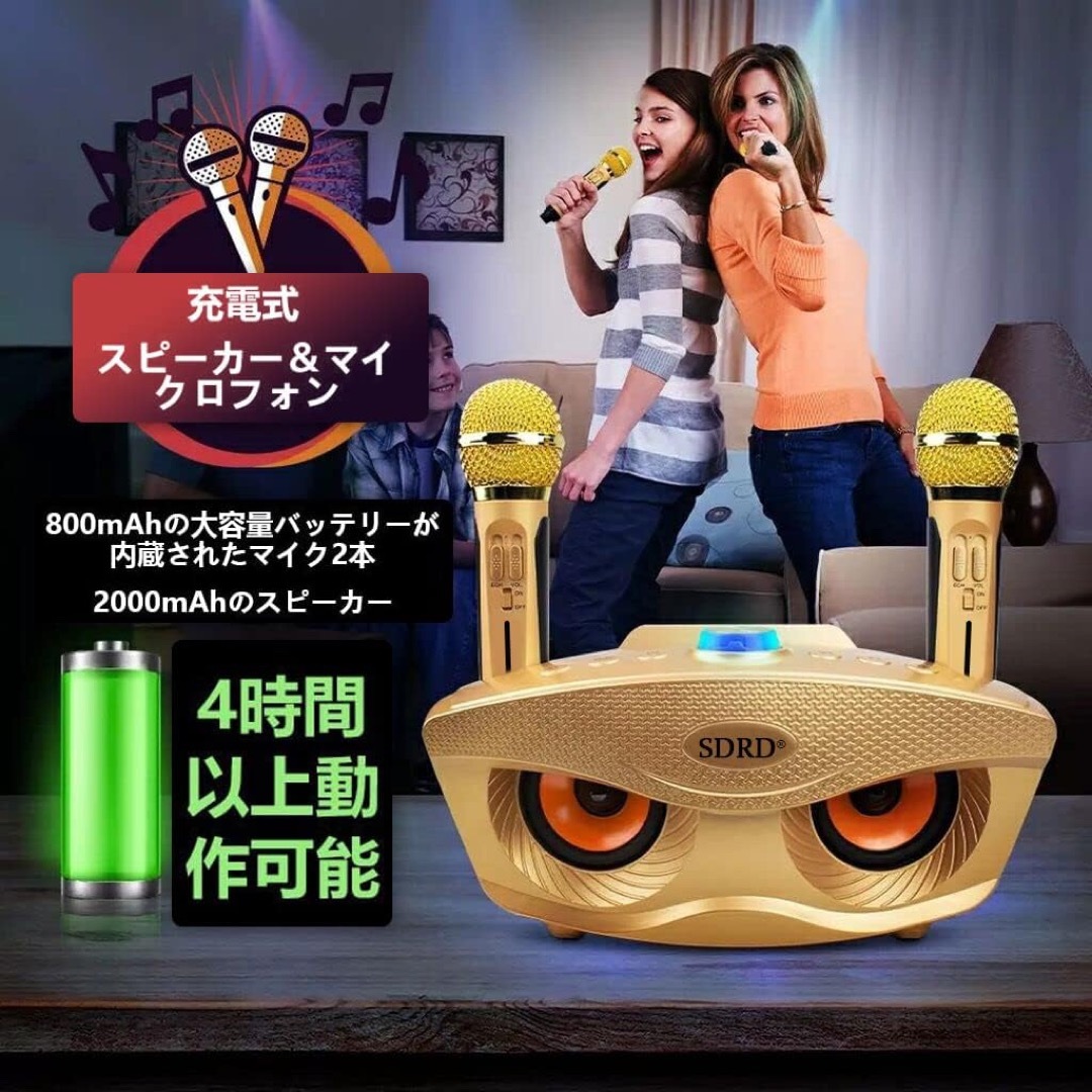 カラオケマイク 家庭用カラオケシステム ワイヤレスマイク カラオケマイク 家庭用カラオケシステム ワイヤレスマイク