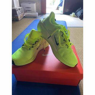 ナイキ(NIKE)のナイキ　ペガサス41(シューズ)