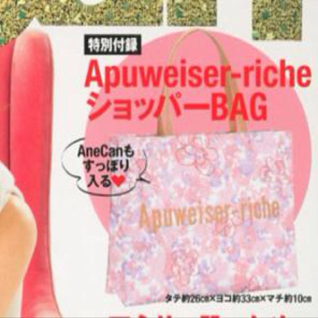 Apuweiser-riche(アプワイザーリッシェ)のA4すっぽり アプワイザー バッグ レディースのバッグ(トートバッグ)の商品写真