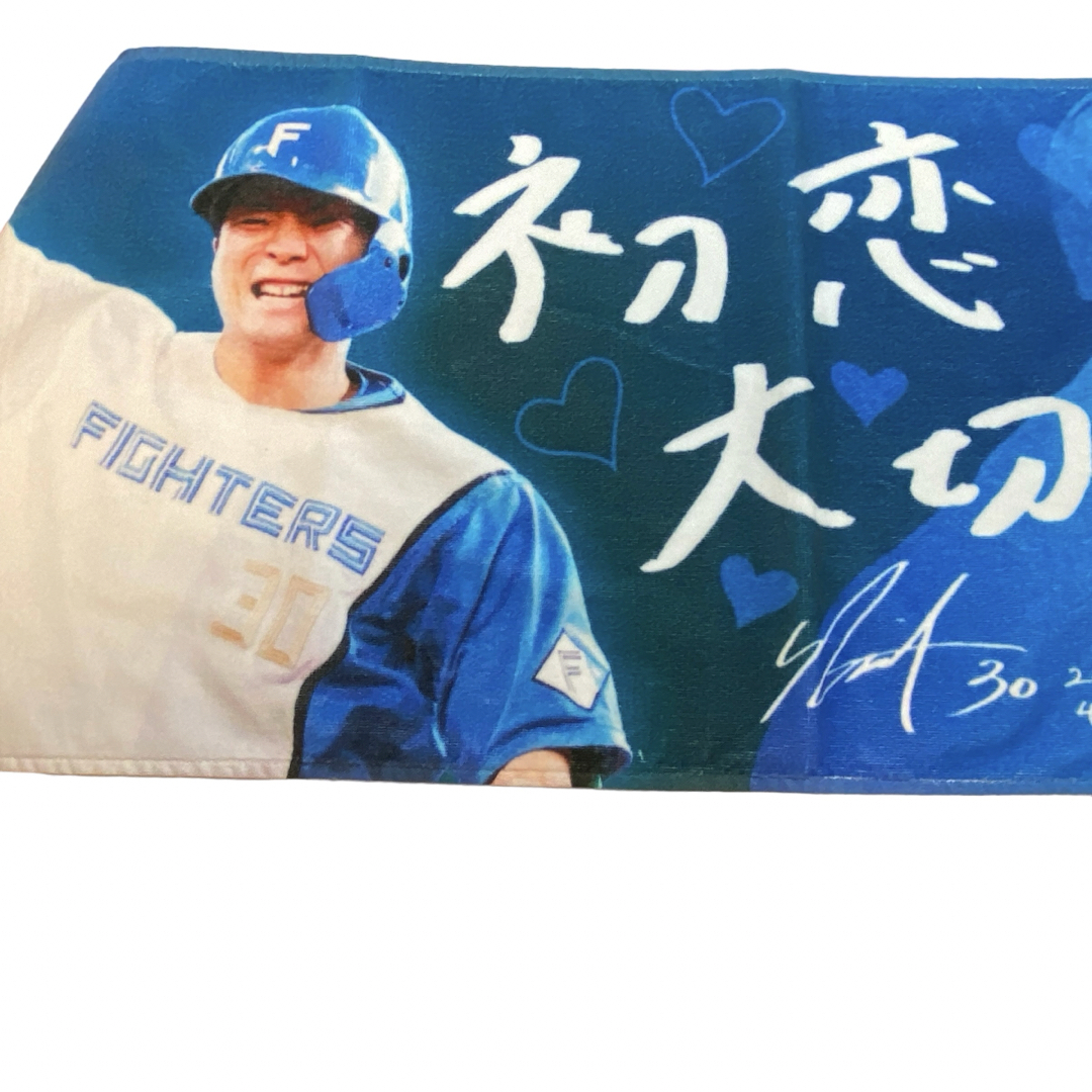 北海道日本ハムファイターズ - ファイターズ today's HERO ♯30 北海道日本ハムファイターズ - ファイターズ today's HERO ♯30