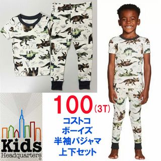 新品 100 上下セット ★ コストコ 半袖 パジャマ ロングパンツ 恐竜