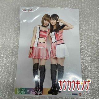 生田衣梨奈/鞘師里保・107】 コレクションピンナップポスター 生田衣梨奈/鞘師里保・107】 コレクションピンナップポスター