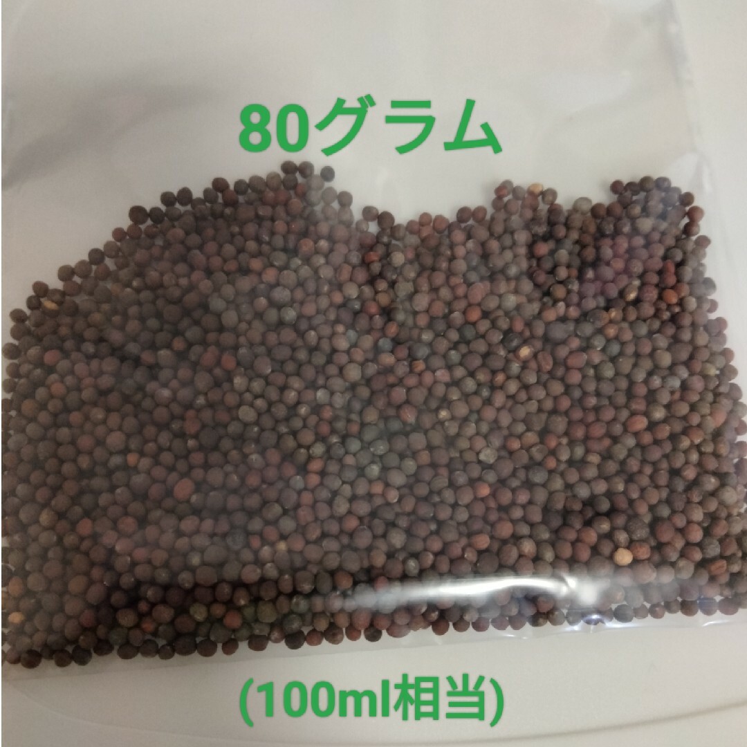 ブロッコリースプラウト 食品/飲料/酒の食品/飲料/酒 その他(その他)の商品写真