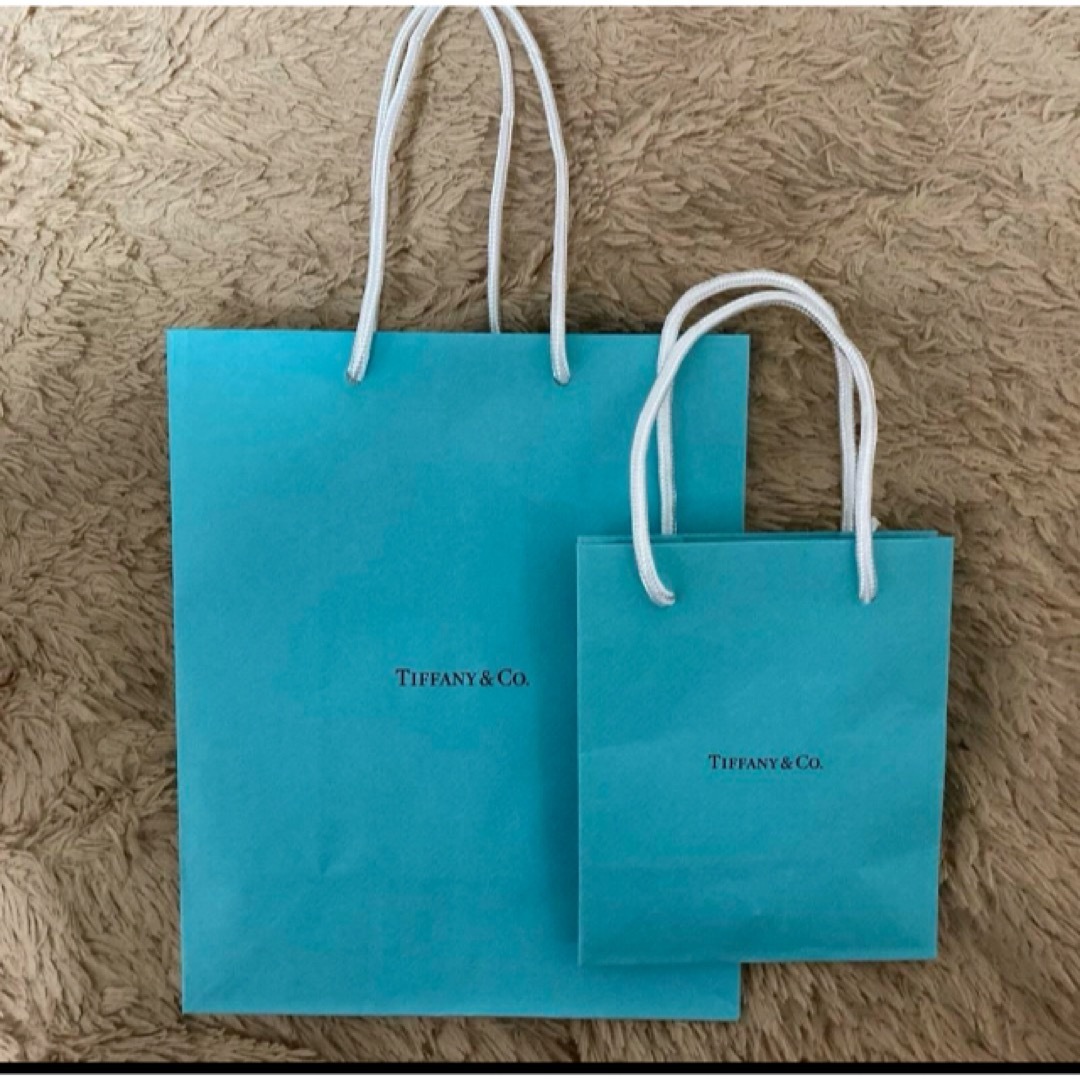Tiffany & Co.(ティファニー)のティファニー 紙袋 中 小 レディースのバッグ(ショップ袋)の商品写真